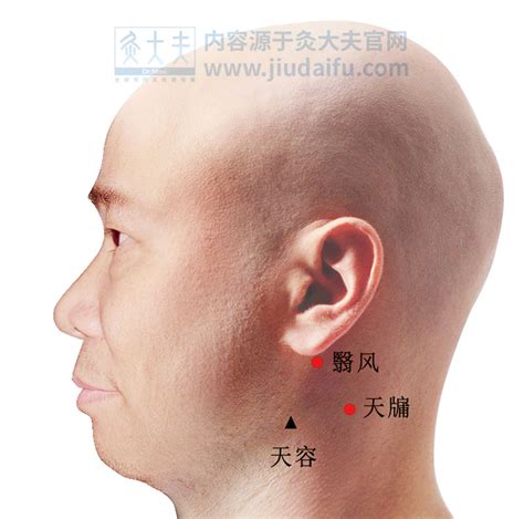 天竅穴位置|人體穴位大全——天牖穴：頭痛頭暈、耳鳴耳聾、目痛面腫、耳鳴。